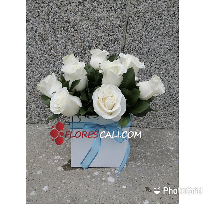 Cubo de rosas blancas