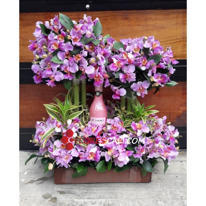 Arreglo imperial orquídeas Flores en Cali