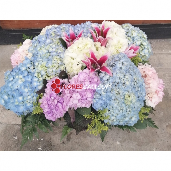 Canasta de hortensias 