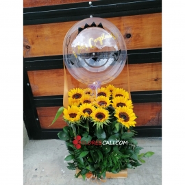 Arreglo  de girasoles y Globo Burbuja floristerias  en cali Dia de la Madre